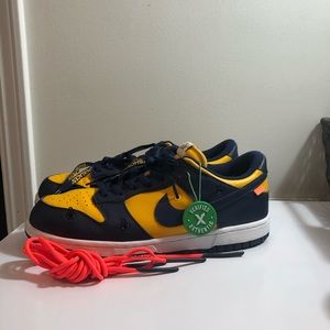 COPY - Nike Dunk Low off white